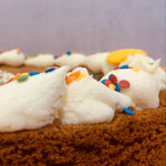 Monster Cookie