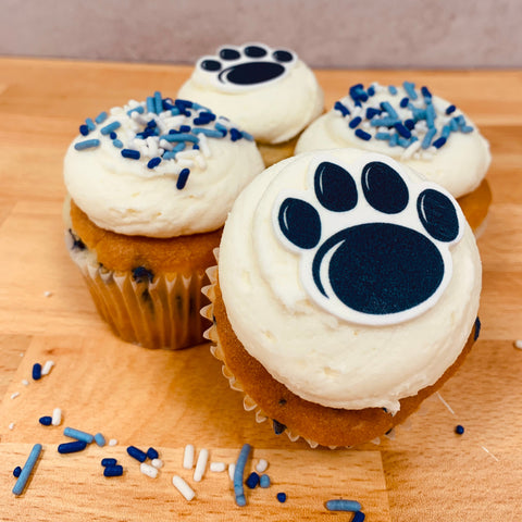 Confetti Paw Print Cupcakes, 4-Pack